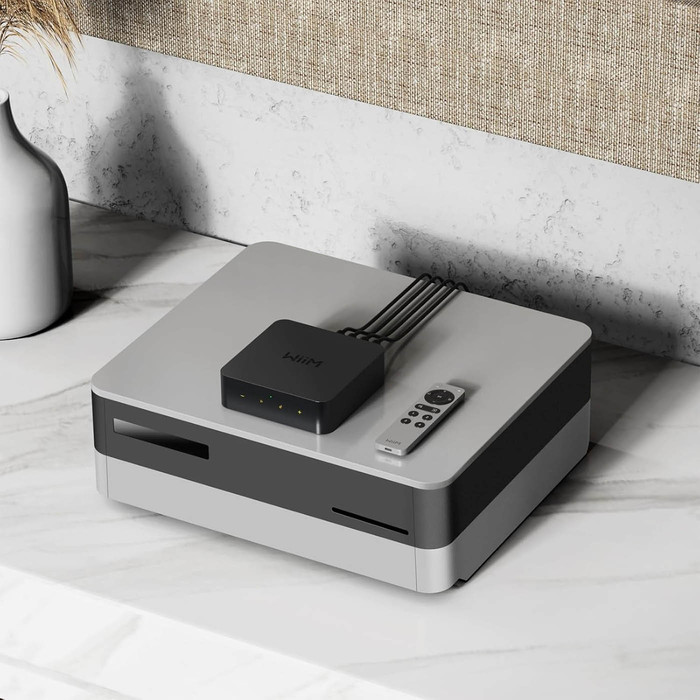 WiiM Voice Remote 2 - 7