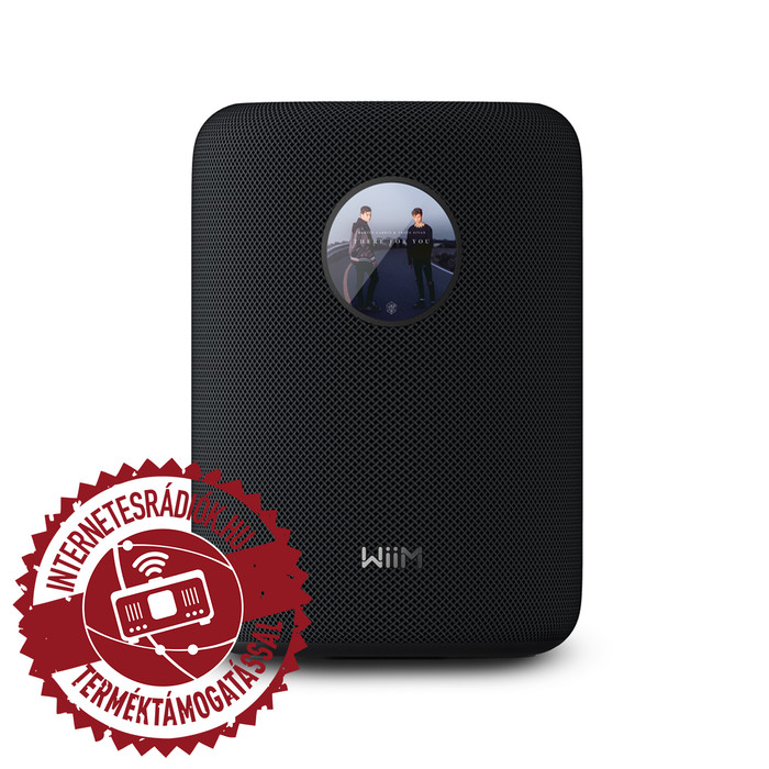 WiiM Sound (black)